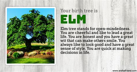 The magical elm